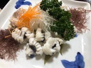 活魚センター 川正