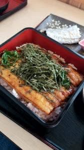 銀たちの郷