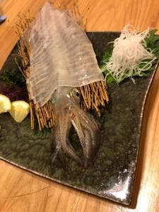 玄海 若潮丸