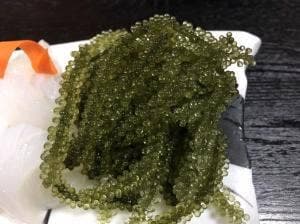 活魚処海人