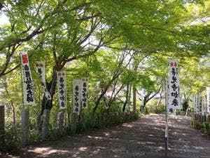 宗休庵