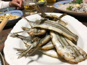 おもいやり
