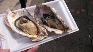 山陽自動車道・宮島サービスエリア下り