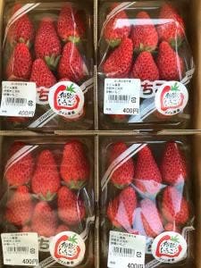 あじ横産直市場