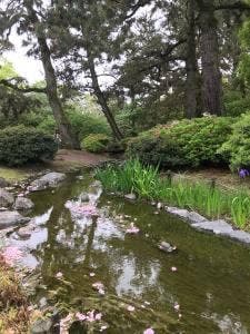 京都御苑 中立売北休憩所