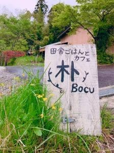 朴 boku