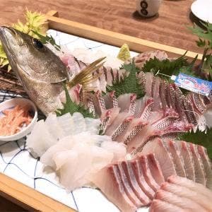 藤松