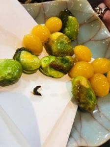 魚光