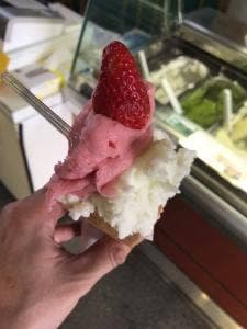 手づくりアイス イタリアンジェラート フレスカ