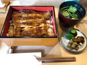 うなよし