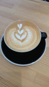 HILLBILLY COFFEE COMPANY