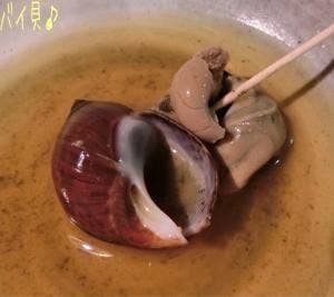 居酒屋白牡丹本店