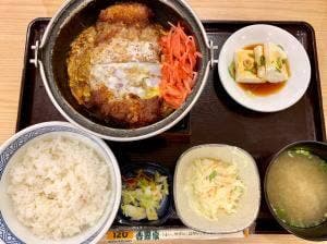 吉野家 成田国際空港第2サテライト店