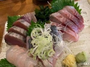 若竹