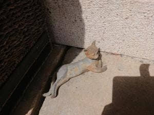 内田屋カフェ&ギャラリー