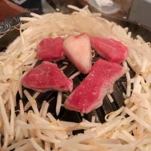 ラムジンギスカン羊々