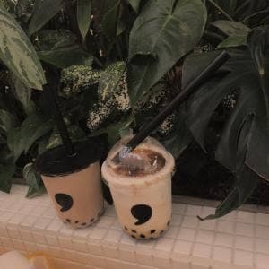 comma TOGO 静岡パルコ店