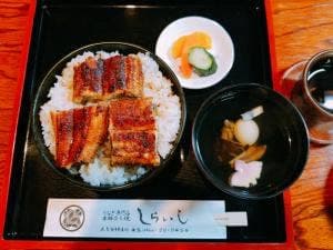 うなぎ料理専門店 しらいし