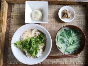 SHOKU YABO農園