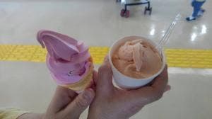 みどりの杜のカフェ みどりの杜農業園芸センター