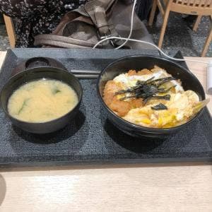 松のや / マイカリー食堂 鷺沼店