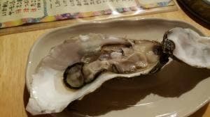 明樹葉
