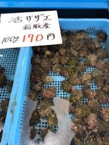 稲取漁港直売所こらっしぇ