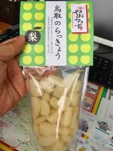 道の駅 神話の里 白うさぎ