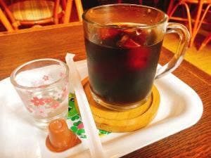 磯詩樹