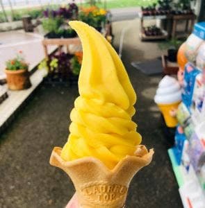 ファストフード 道の駅フェニックス