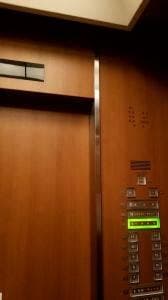 中国料理 彩湖
