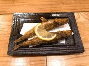 鰓呼吸 泉中央店