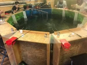 釣り掘りカフェ Catch＆Eat 練馬店