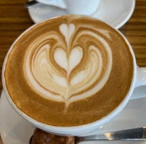 スペシャルティコーヒー豆専門店 トライブ