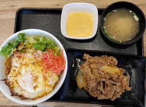 吉野家 鴻池新田店