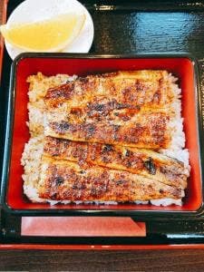 川合うなぎ店