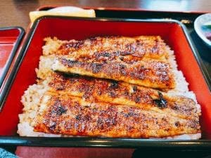 川合うなぎ店