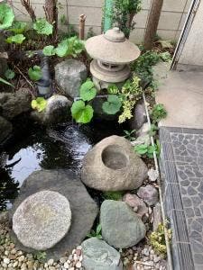 割烹 芳松