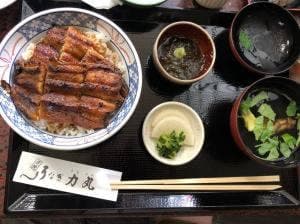 うなぎ 力丸