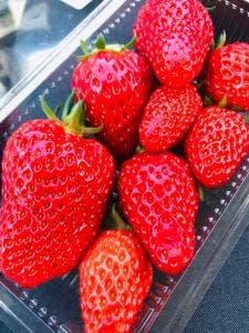 レストラン中山盆地