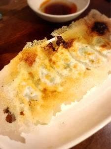 大阪餃子専門店 541+