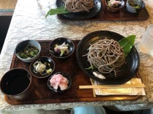 スズメのお宿 フォルテシモ