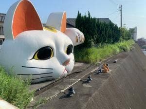 とこなべ だんご茶屋