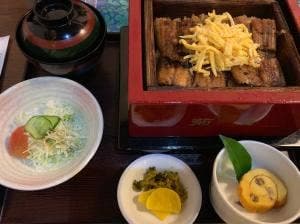 菊菱