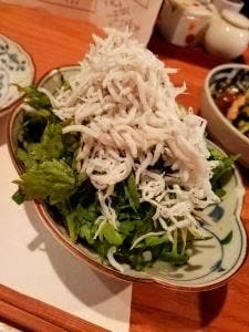 旬菜食堂 おは肴