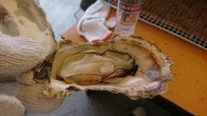 かき小屋 仙台港