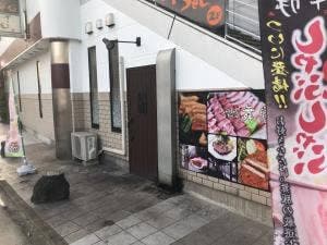 しゃぶしゃぶだいにんぐ舞豚