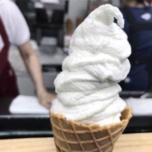 砦農園 メロンドーム店