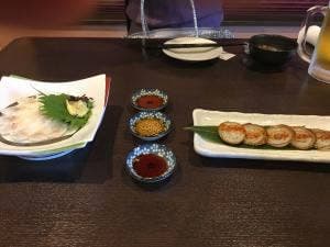 鰻樹