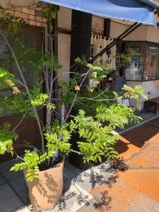 手打うどん麺工棒 宇部本店